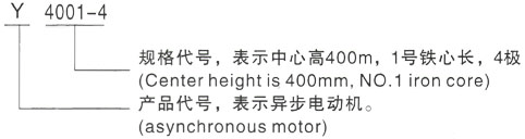 西安泰富西玛Y系列(H355-1000)高压YRKK4503-8/280KW三相异步电机型号说明